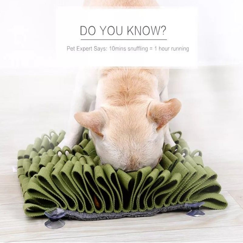 Reptronic Durable Anti-Bite Snuffle Mat